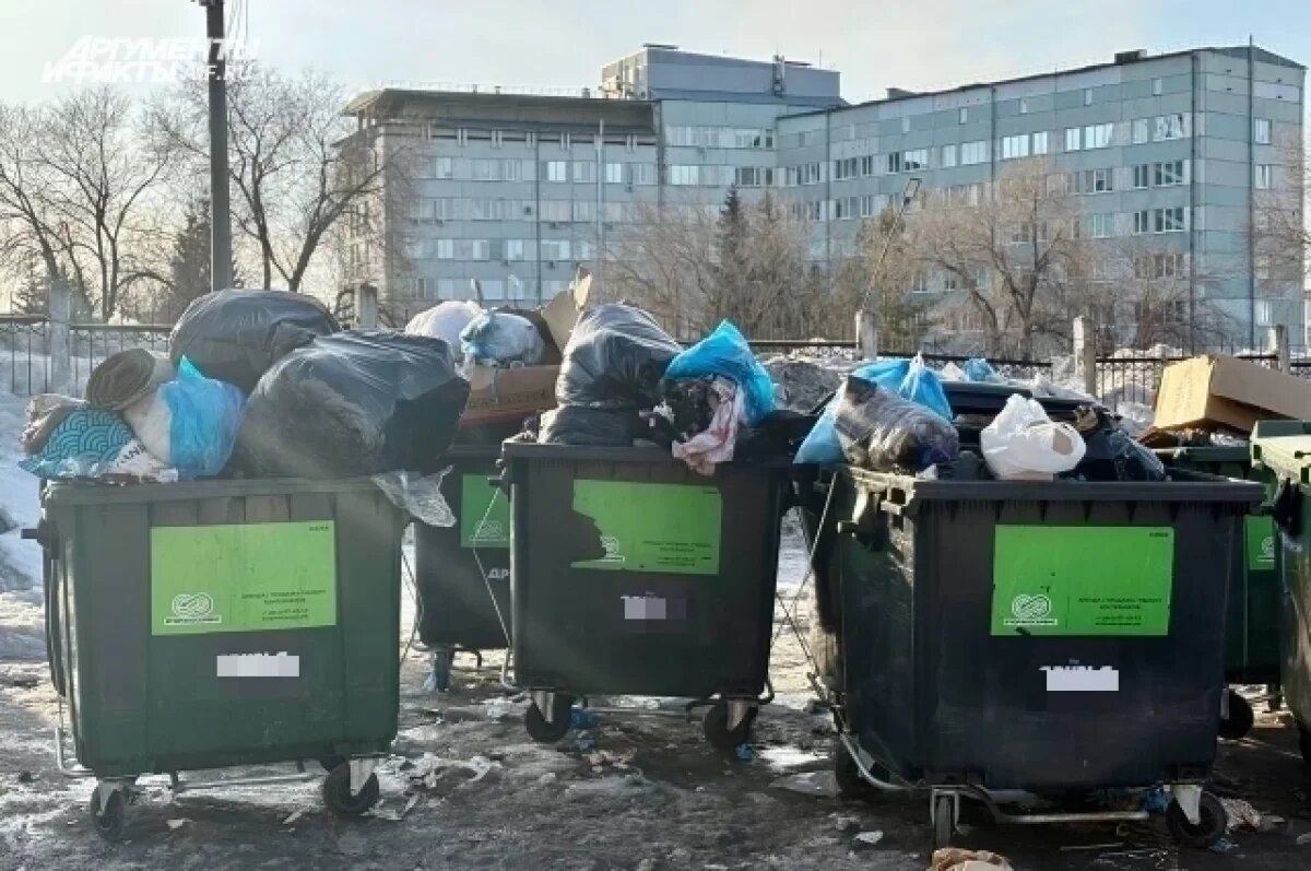    В Красноярске в этом году установят 169 новых контейнерных площадок