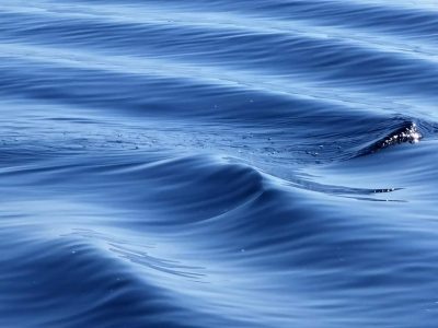    Фото: ГТРК Карелия