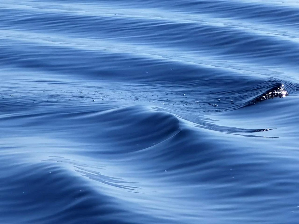    Фото: ГТРК Карелия