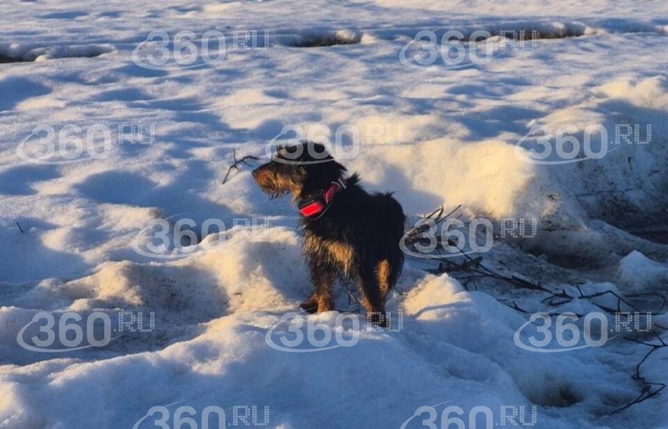     360.ru