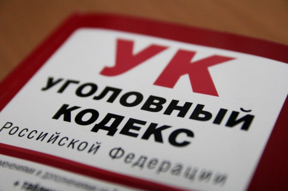    Уголовный кодекс РФ. Источник: объединенная пресс-служба судов Алтайского края