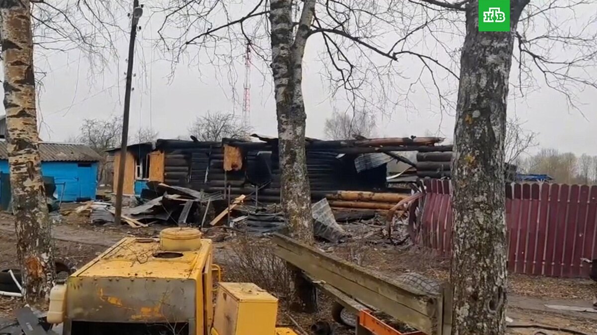    Кадр из видео: guberniya33 / t.me