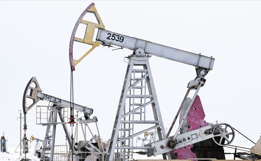     / Источник: © Максим Богодвид/РИА Новости