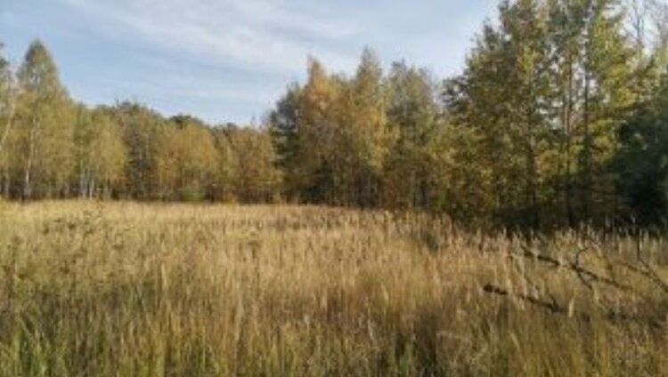    Фото: Управление Россельхознадзора по Орловской и Курской областям