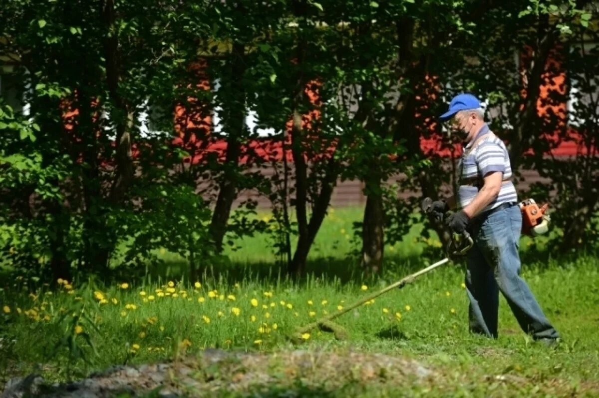    Ситифермер Ермошин рассказал, зачем дачнику нужен триммер