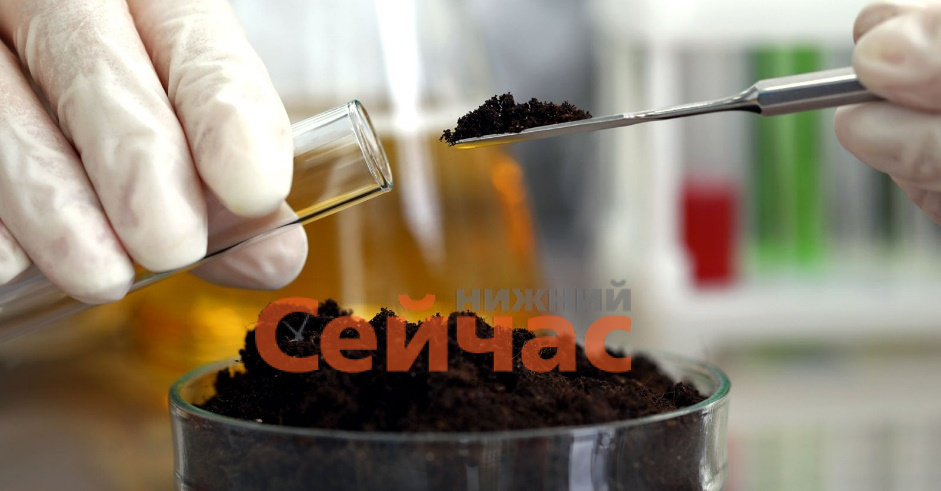    Фото: Россельхознадзор Иван Воробьев