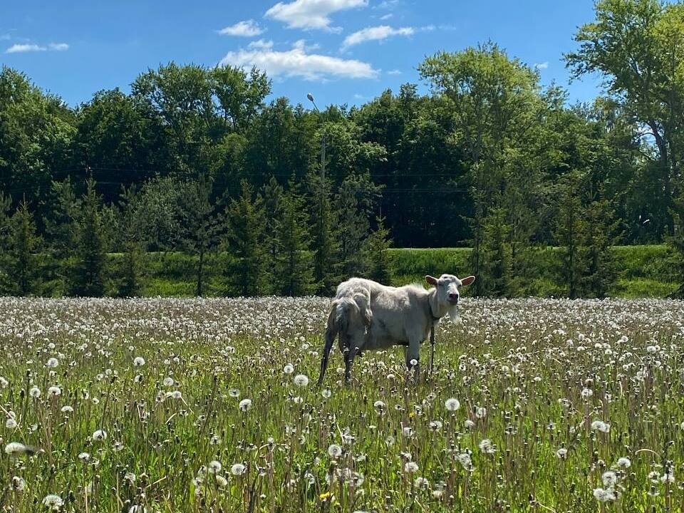    Фото: Яна Пивцайкина