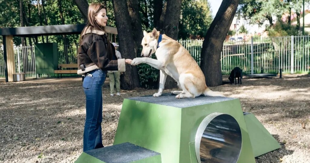 Топ-10 ЖК Казани с дог-френдли средой