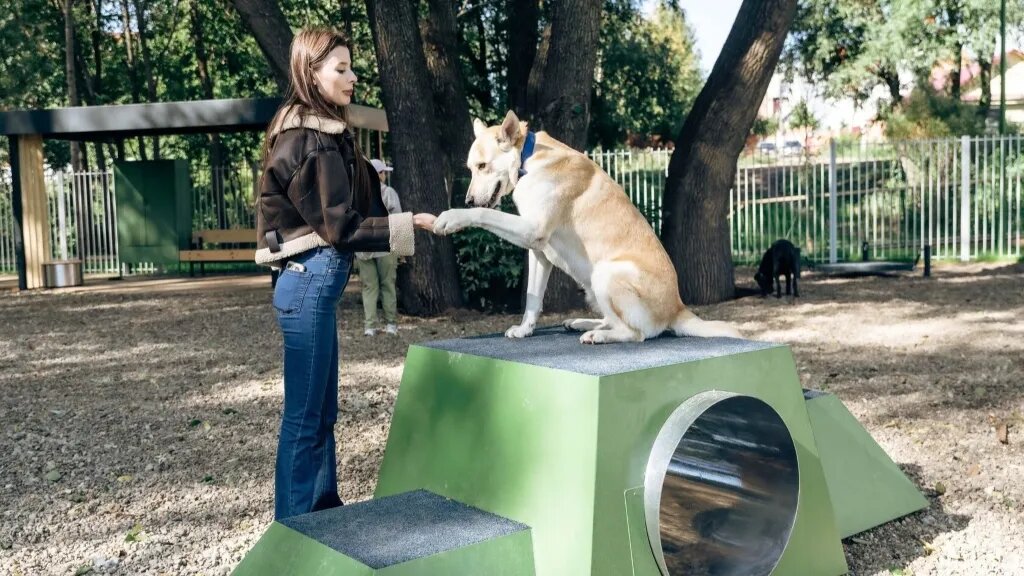 Площадка для выгула собак в ЖК «Светлая долина». Фото: Институт развития городов РТ 