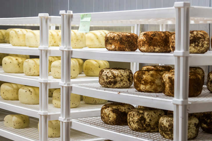    Фото Андрея Заржецкого