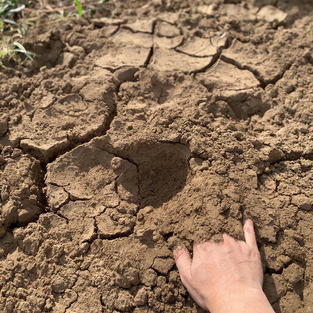 видно плотный глинистый слой