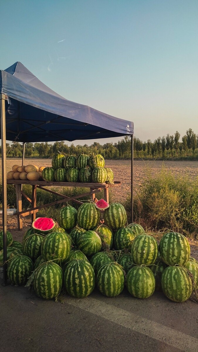 Вкус и запах лета