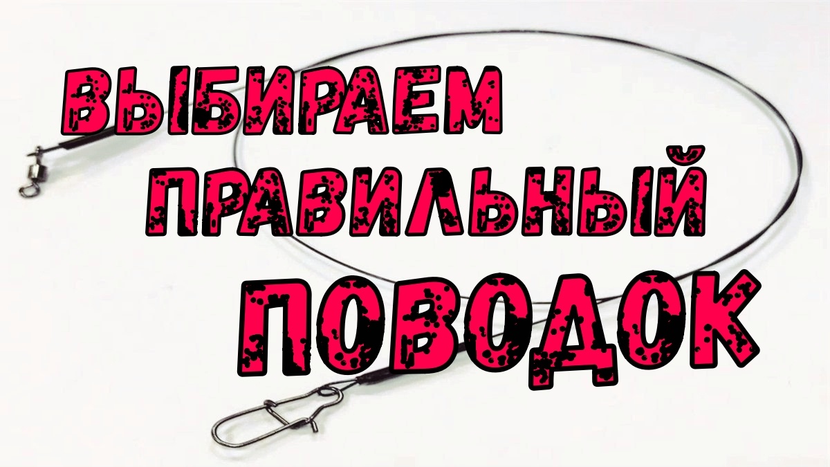 Правильный поводок