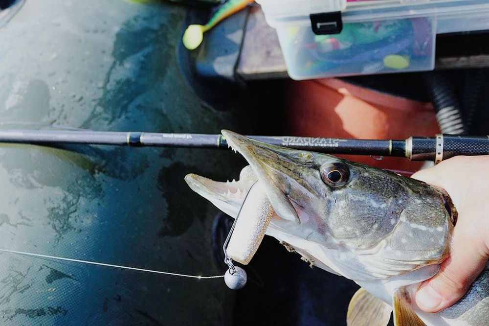 Из своей галеереи