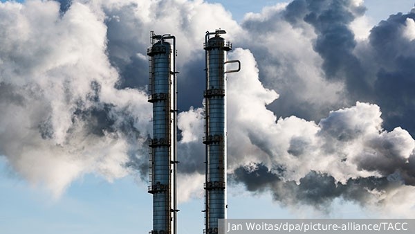     Фото: Jan Woitas/dpa/picture-alliance/ТАСС   
 Текст: Дмитрий Зубарев