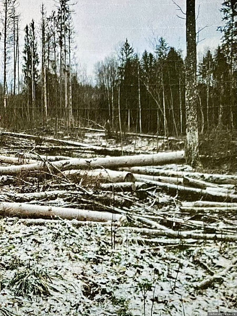 Фото здесь и далее из материалов уголовного дела