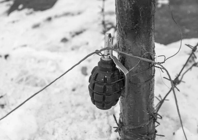 "Лимонка" (Ф-1): сувенир из тротила и сталистого чугуна