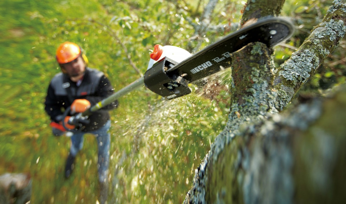 Источник изображения: http://www.groundcareessentials.com/