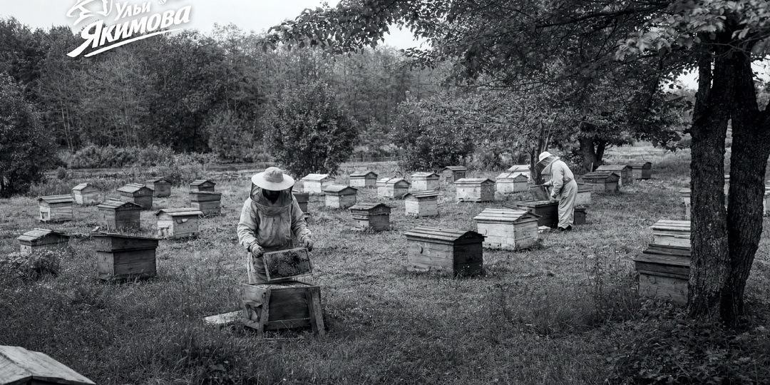 Как СССР строил империю мёда и почему это важно сегодня