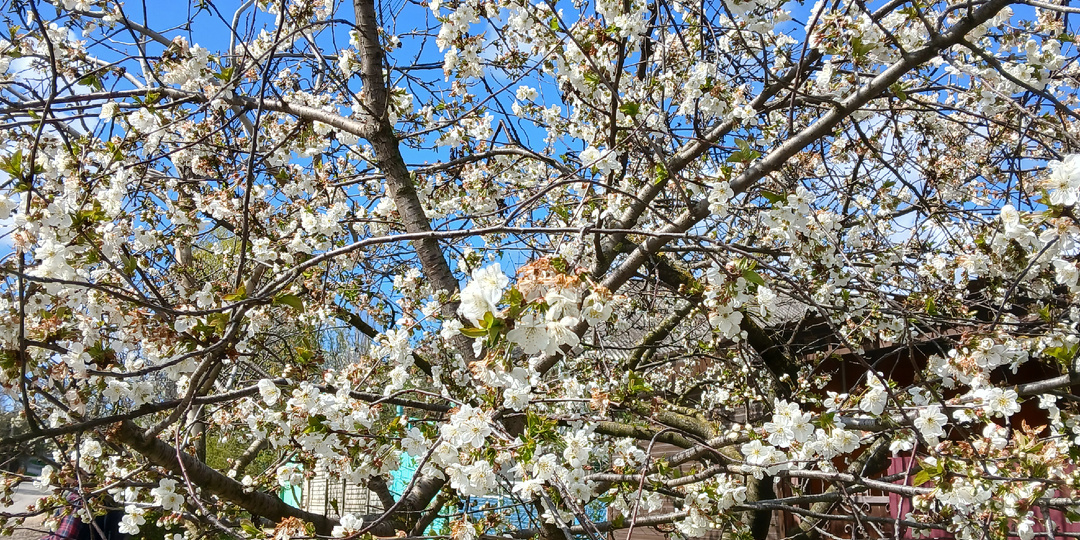 Апрель вышел на прогулку. Цитаты, фото и просто поговорить :)