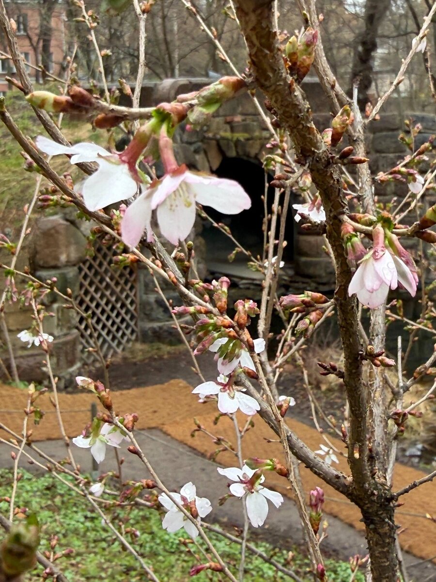 Фото: телеграм-канал Artem Parshin