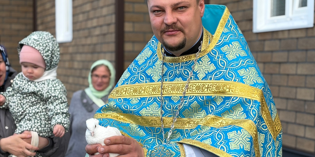 Белые крылья над куполами