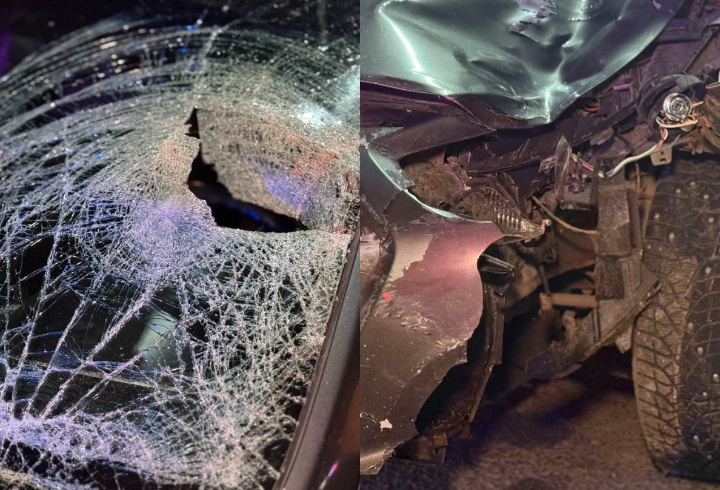 фото: пресс-служба Госавтоинспекции Санкт-Петербурга и Ленобласти