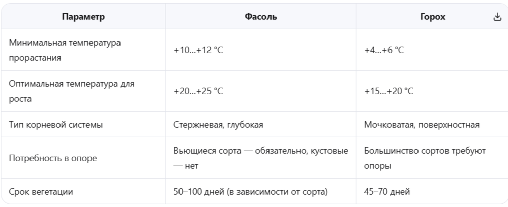 Ключевые отличия фасоли и гороха, влияющие на агротехнику