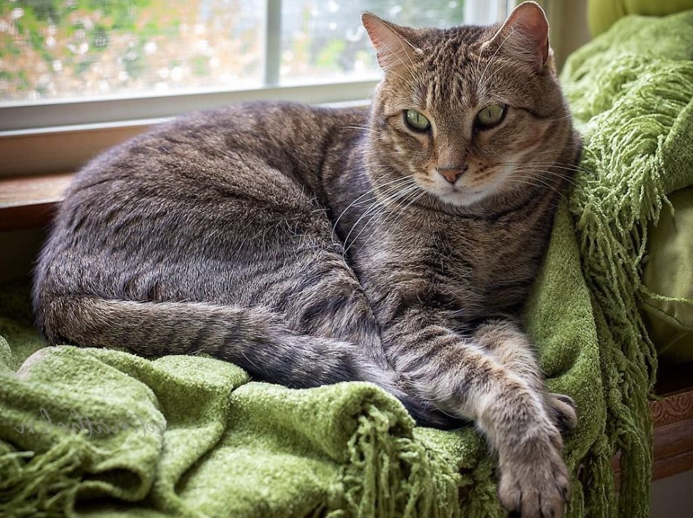 Он знает, кто тут главный