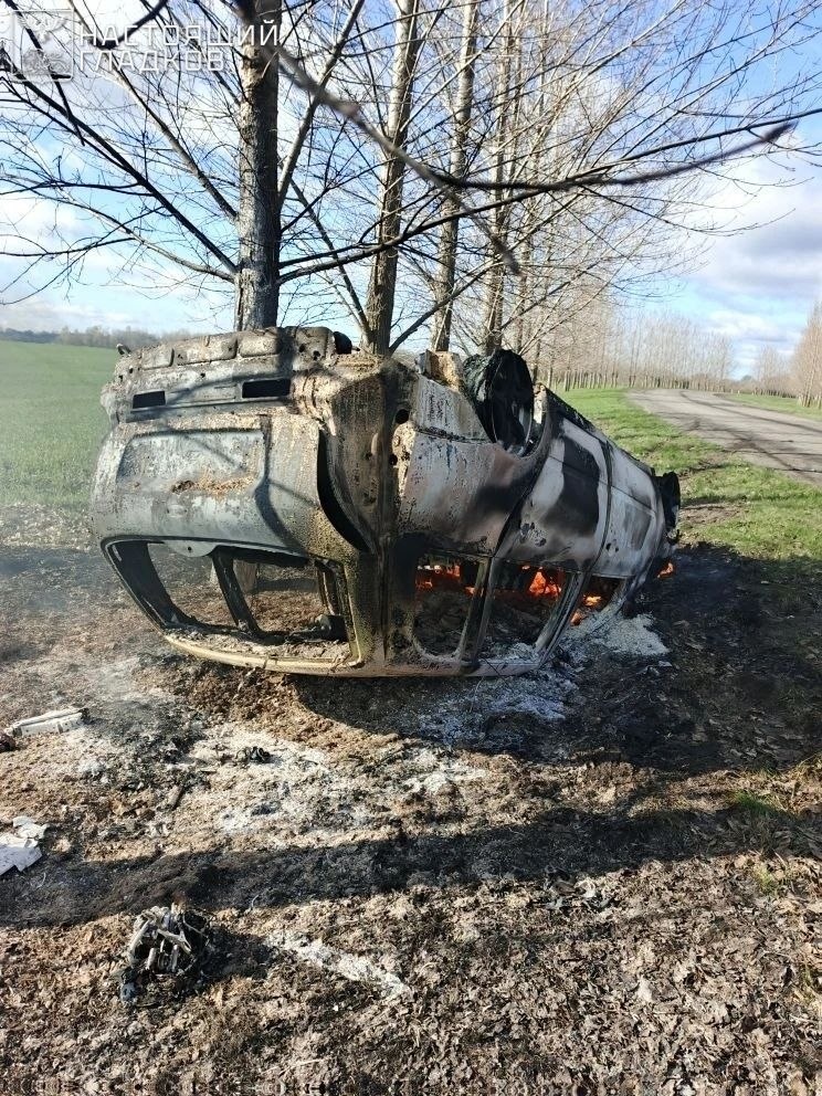    Telegram / Губернатор Белгородской области Вячеслав Гладков