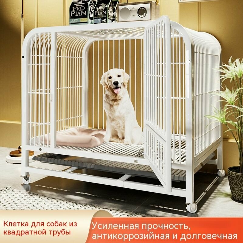 Фото из инетернета