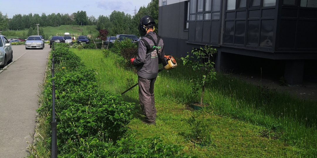 Свободное плавание: Как Магистр ландшафта начинал с одной газонокосилки