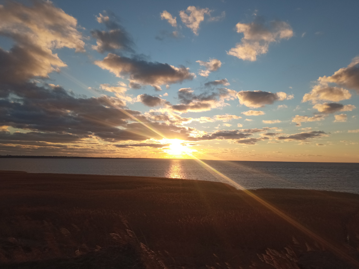 Осознанная ходьба: медитация вдоль берега