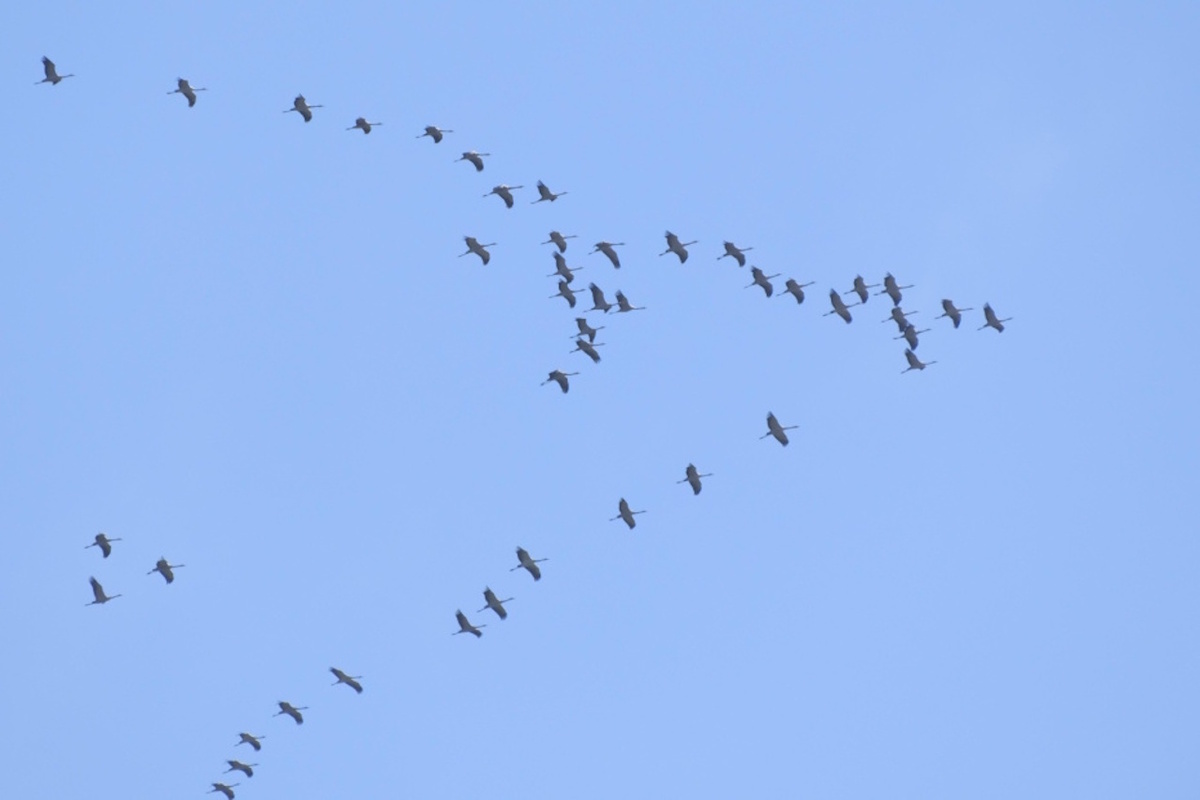 Фото: Wilfried Wirth/imagebroker.com/Global Look Press