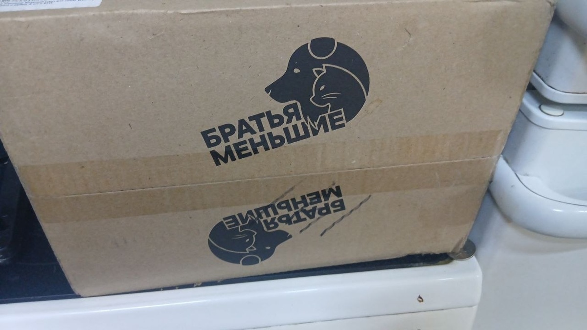 Подарок от Екатерины. Этот корм очень хорошо подхдит  нашим возрастным беззубикам.