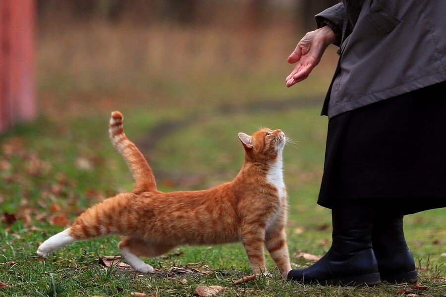     / Источник: © Владимир Смирнов/ТАСС