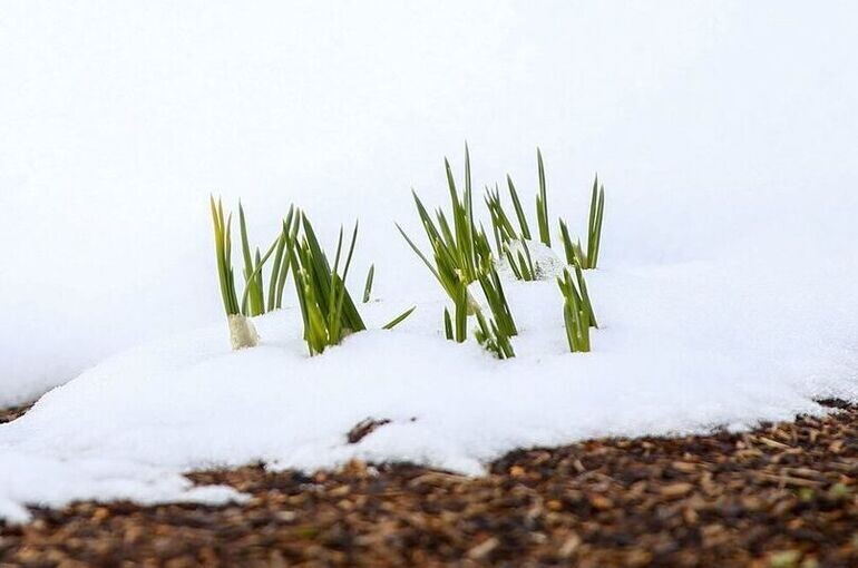   Сергей Ведяшкин /АГН «Москва»