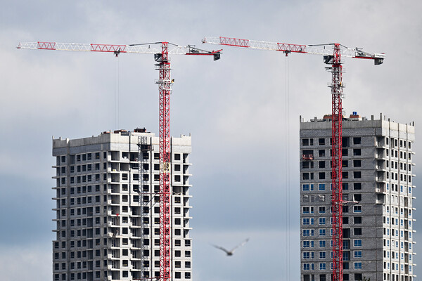 Пелагия Тихонова/РИА Новости   📷