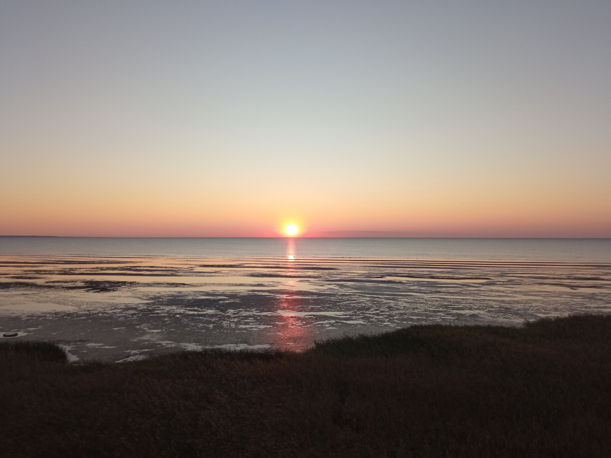  йога‑ретрита в гостевом доме «Живые камни» на побережье Таганрогского залива