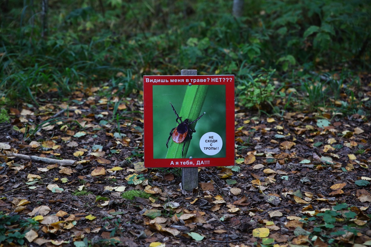    фото: © Столица на Онего