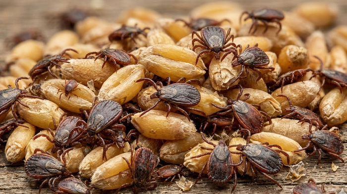    Фото создано при помощи ИИ