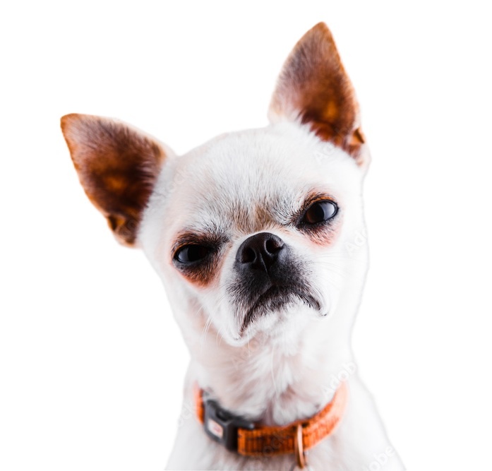 -А чего она? А?!