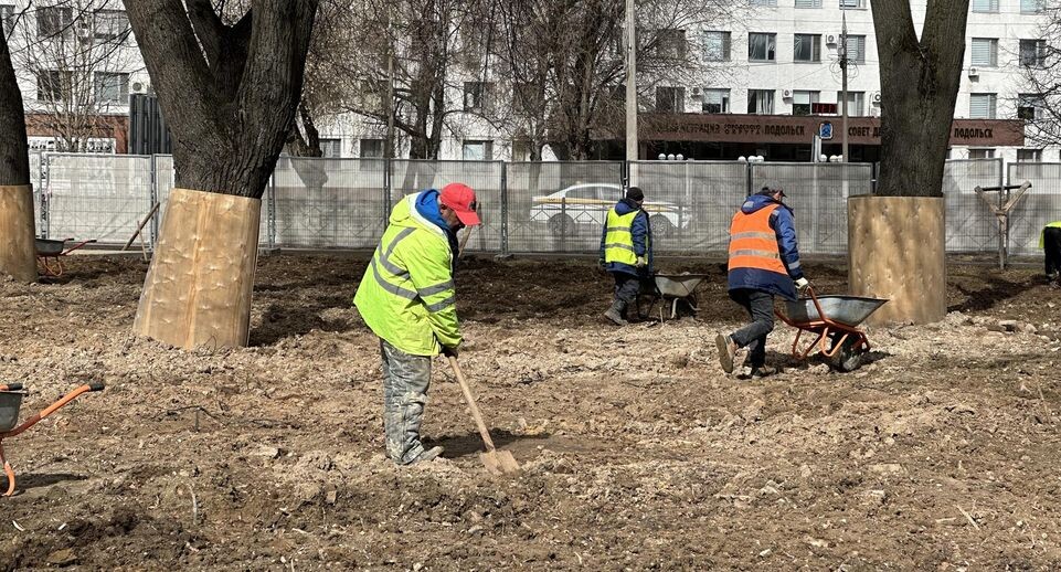    Фото: Мария Шигорева