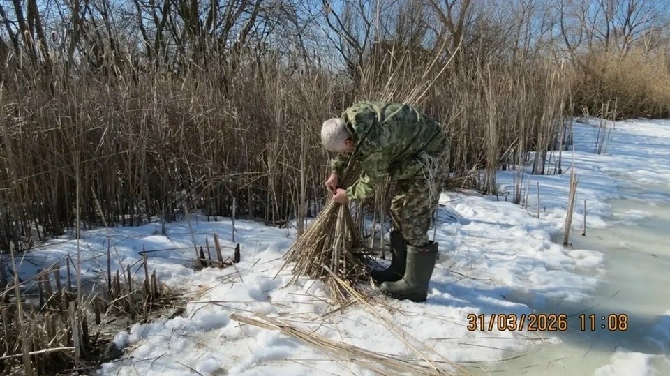    Сотрудники службы обустраивают гнездовья Фото: комитет охоты и рыболовства Самарской области