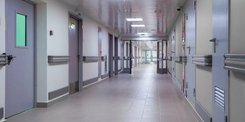 Учёные искусственно воспроизвели механизмы работы иммунной системы, характерные для элитных контроллеров