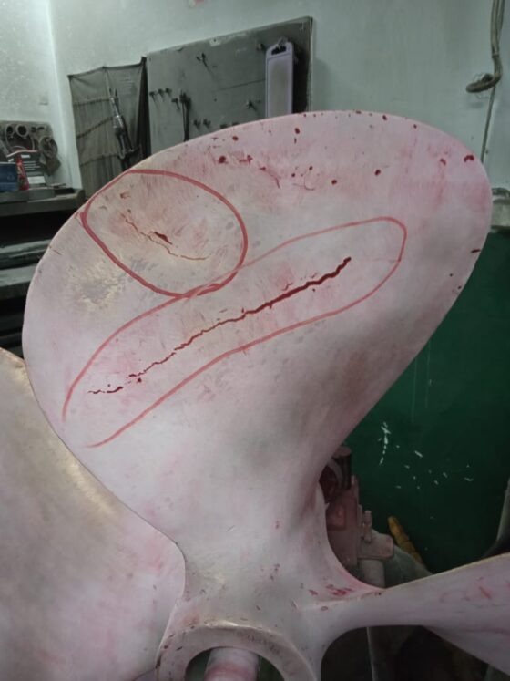     Фото: Влпасифик