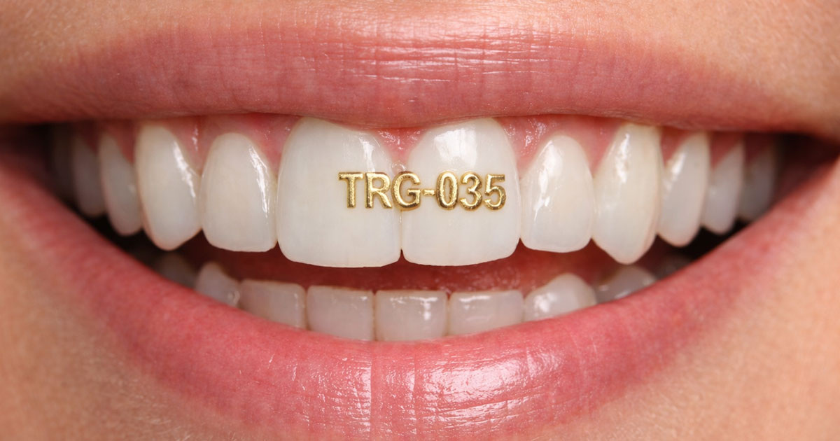 Alexander Svoboda / Factroom.ru