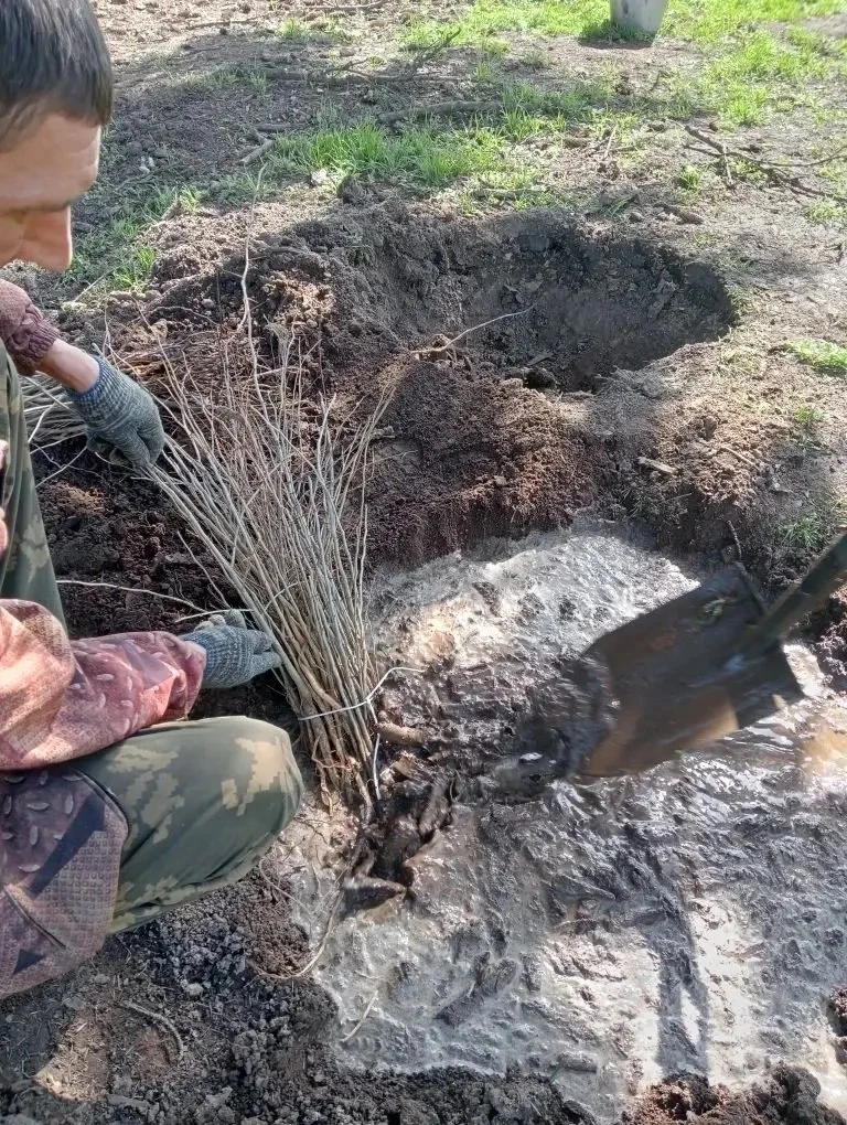    Фото: https://max.ru/VVV5807 Светлана Уварова