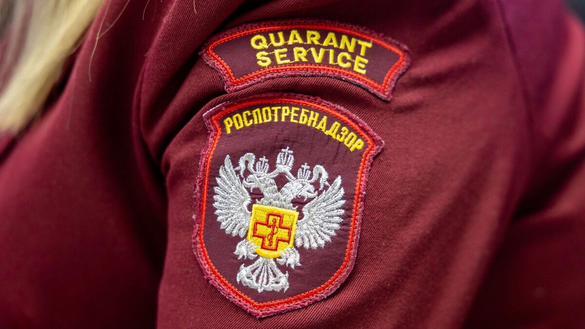    Фото: Александр Чирва / «Ямал-Медиа»