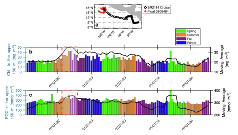   Ученые научились отслеживать азотный цикл океана в реальном времени с помощью роботизированных буев